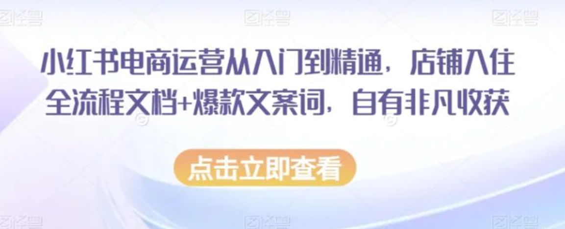 小红书电商运营从入门到精通，店铺入住全流程文档+爆款文案词，自有非凡收获-巨丰资源网