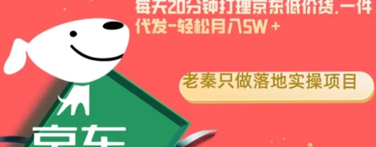 每天20分钟打理京东低价货，一件代发-轻松月入5W＋-巨丰资源网