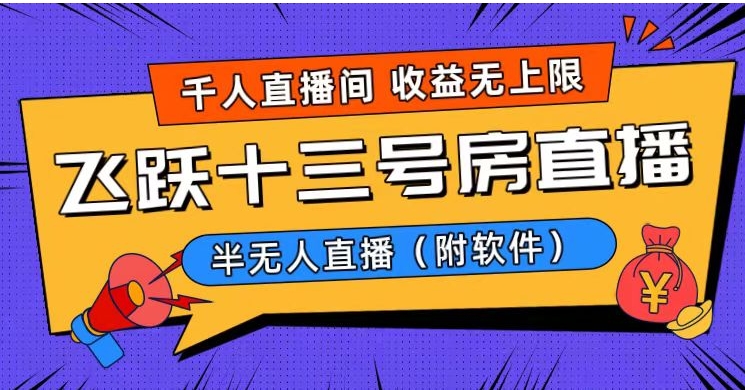 爆火飞跃十三号房半无人直播，一场直播上千人，日入过万！-巨丰资源网