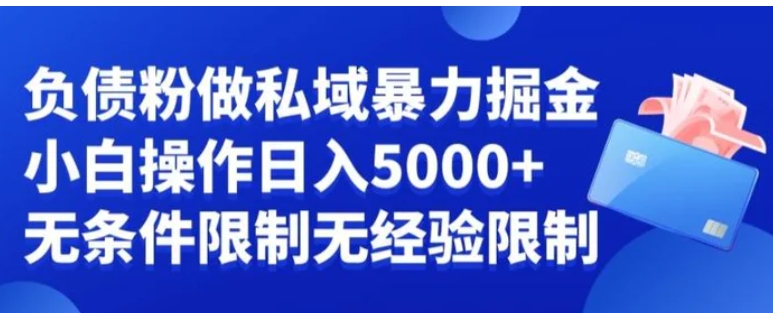 负债粉私域暴力掘金，小白操作入5000，无经验限制，无条件限制【揭秘】-巨丰资源网