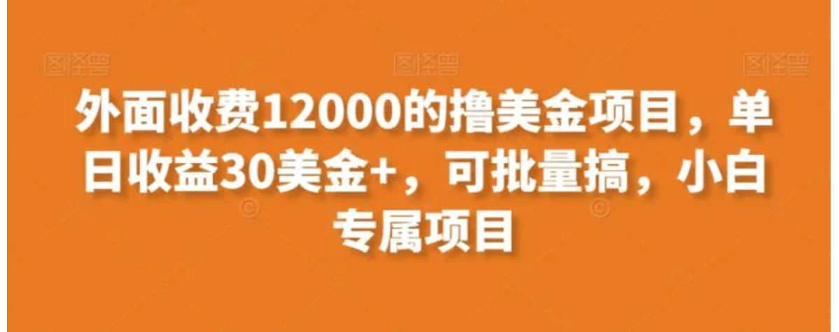 外面收费12000的撸美金项目，单日收益30美金+，可批量搞，小白专属项目-巨丰资源网