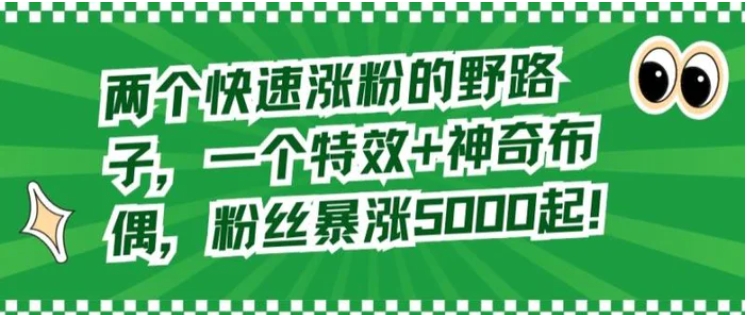 两个快速涨粉的野路子，一个特效+神奇布偶，粉丝暴涨5000起【揭秘】-巨丰资源网