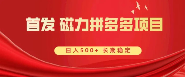 首发 磁力拼多多自撸 日入500+-巨丰资源网