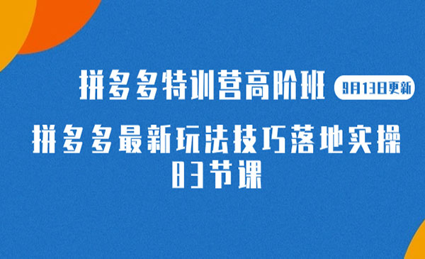 《拼多多最新玩法技巧落地实操》-巨丰资源网