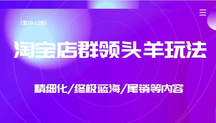 淘宝店群领头羊玩法，精细化/终极蓝海/尾销等内容-巨丰资源网