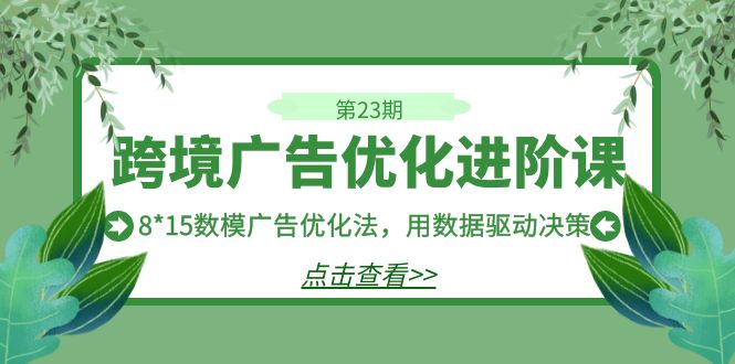 跨境广告·优化进阶课·第23期，8*15数模广告优化法，用数据驱动决策-巨丰资源网