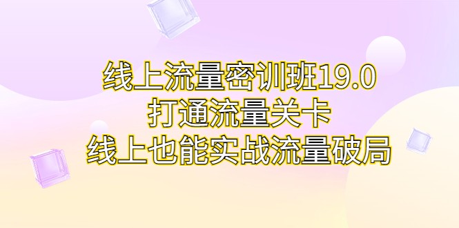 线上流量密训班19.0，打通流量关卡，线上也能实战流量破局-巨丰资源网