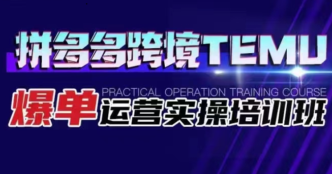 拼多多跨境TEMU爆单运营实操培训班 海外拼多多的选品、运营、爆单-巨丰资源网