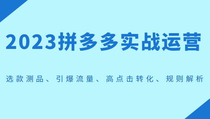 2023拼多多实战运营，选款测品、引爆流量、高点击转化、规则解析-巨丰资源网