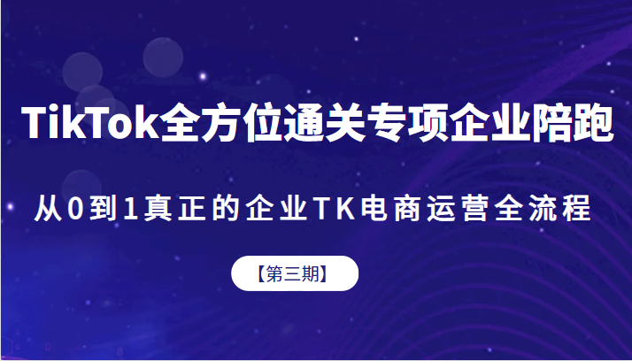 TikTok全方位通关专项企业陪跑【第三期】，从0到1真正的企业TK电商运营全流-巨丰资源网