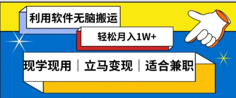 低密度新赛道视频无脑搬一天1000+几分钟一条原创视频零成本零门槛超简单【揭秘】-巨丰资源网