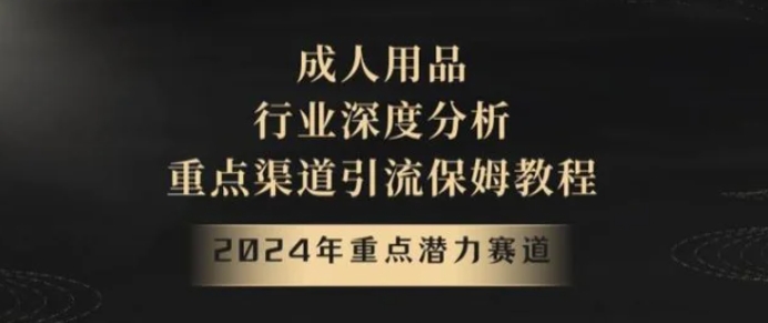 2024年重点潜力赛道，成人用品行业深度分析，重点渠道引流保姆教程【揭秘】-巨丰资源网