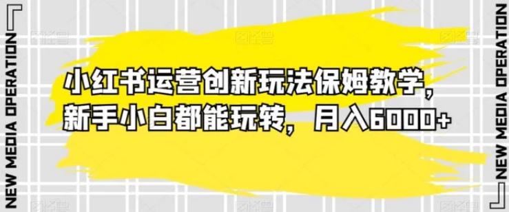 小红书运营创新玩法保姆教学，新手小白都能玩转，月入6000+【揭秘】-巨丰资源网