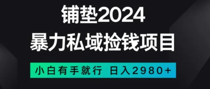 暴力私域捡钱项目，小白无脑操作，日入2980【揭秘】-巨丰资源网