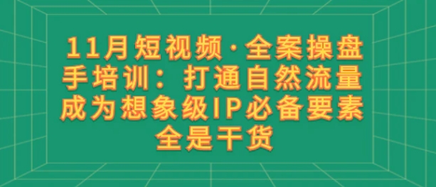 11月短视频·全案操盘手培训：打通自然流量 成为想象级IP必备要素 全是干货-巨丰资源网