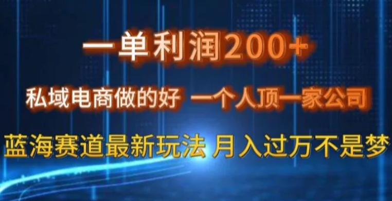 一单利润200私域电商做的好，一个人顶一家公司蓝海赛道最新玩法【揭秘】-巨丰资源网