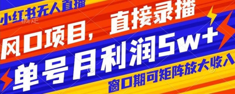 风口项目，小红书无人直播带货，直接录播，可矩阵，月入5w+【揭秘】-巨丰资源网