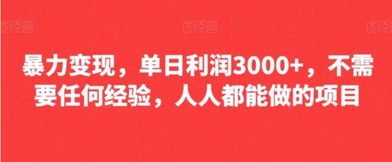 暴力变现，单日利润3000+，不需要任何经验，人人都能做的项目-巨丰资源网