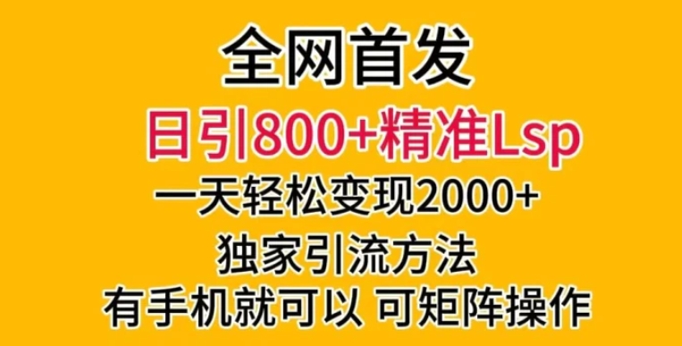 全网首发！日引800+精准老色批，一天变现2000+，独家引流方法，可矩阵操作【揭秘】-巨丰资源网