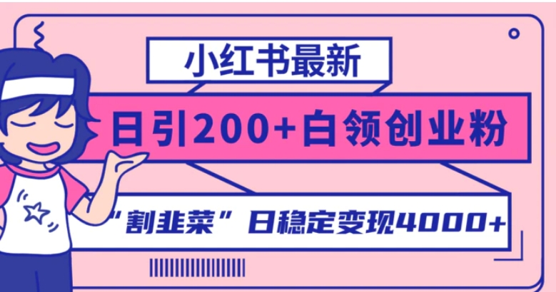 小红书最新日引200+创业粉”割韭菜“日稳定变现4000+实操教程！-巨丰资源网