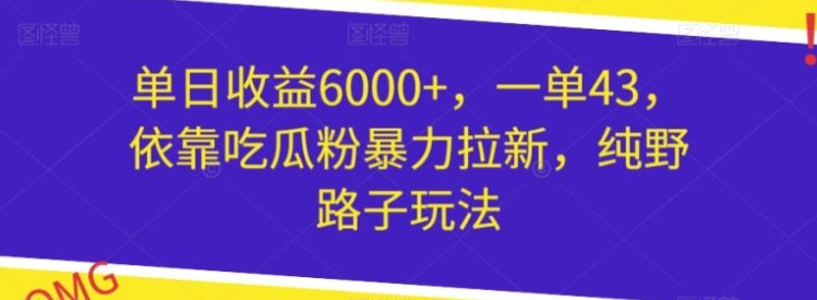 单日收益6000+，一单43，依靠吃瓜粉暴力拉新，纯野路子玩法-巨丰资源网