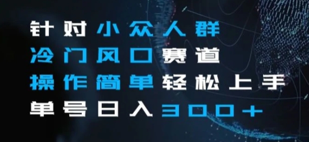 针对小众人群冷门风口赛道，操作简单轻松上手单号日入300+-巨丰资源网