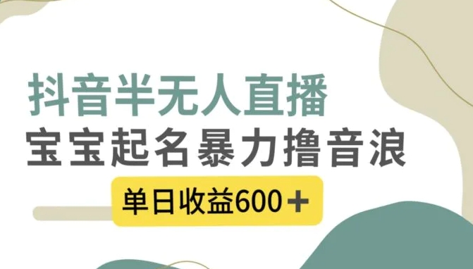 抖音半无人直播，宝宝起名，暴力撸音浪，单日收益600+-巨丰资源网