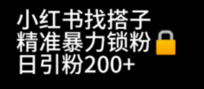 小红书找搭子暴力精准锁粉+引流日引200+精准粉-巨丰资源网