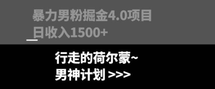 暴力男粉掘金4.0项目不违规不封号无脑复制单人操作日入1000+-巨丰资源网