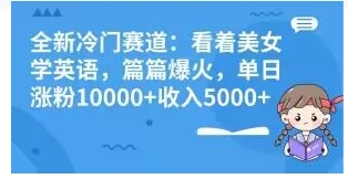 全新冷门赛道：看着美女学英语，篇篇爆火，单日涨粉10000+收入5000+-巨丰资源网