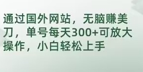 通过国外网站，无脑赚美刀，单号每天300+可放大操作，小白轻松上手【揭秘】-巨丰资源网