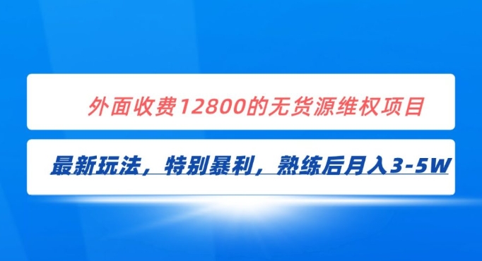 全网首发！外面收费12800的无货源维权最新暴利玩法，轻松月入3-5W-巨丰资源网