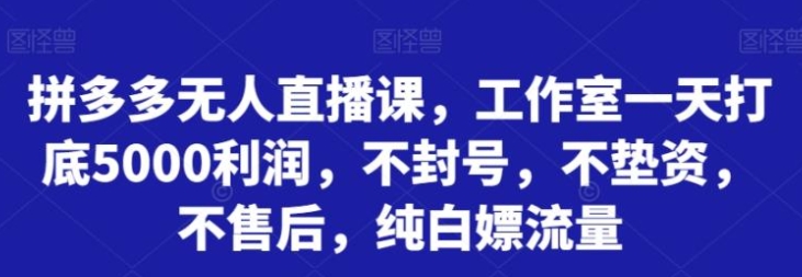 拼多多无人直播课，工作室一天打底5000利润，不封号，不垫资，不售后，纯白嫖流量-巨丰资源网