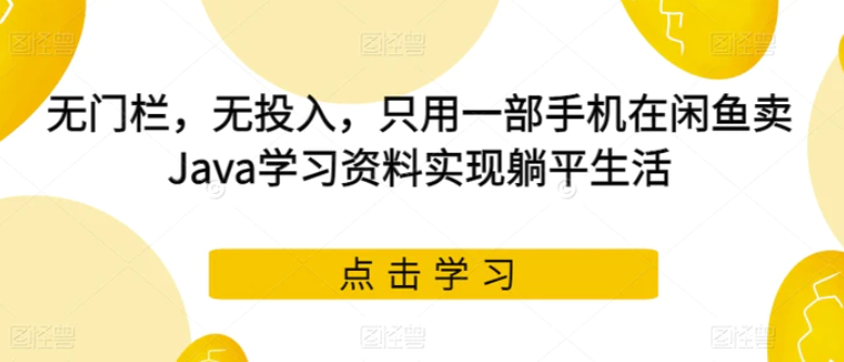 无门栏，无投入，只用一部手机在闲鱼卖Java学习资料实现躺平生活【揭秘】-巨丰资源网