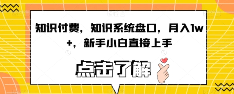 知识付费，知识系统盘口，月入1w+，新手小白直接上手-巨丰资源网