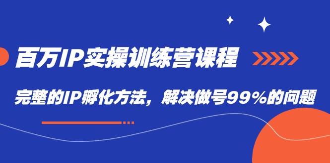 百万IP实战训练营课程，完整的IP孵化方法，解决做号99%的问题-巨丰资源网