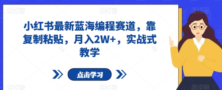 小红书最新蓝海编程赛道，靠复制粘贴，月入2W+，实战式教学【揭秘】-巨丰资源网