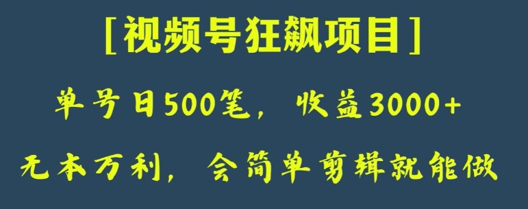 日收款500笔，纯利润3000+，视频号狂飙项目，会简单剪辑就能做【揭秘】-巨丰资源网