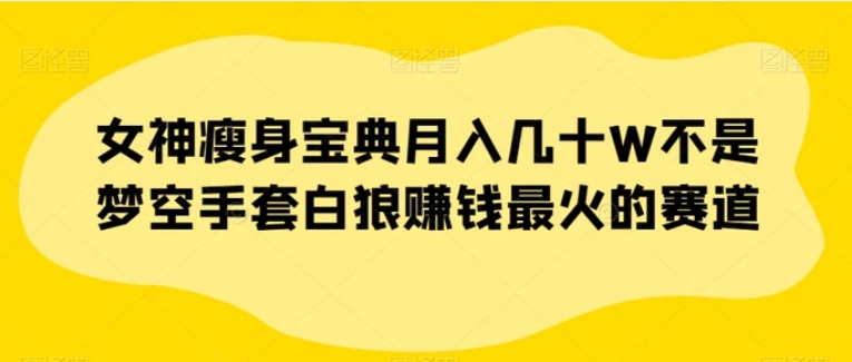 女神瘦身宝典月入几十W不是梦空手套白狼赚钱最火的赛道【揭秘】-巨丰资源网