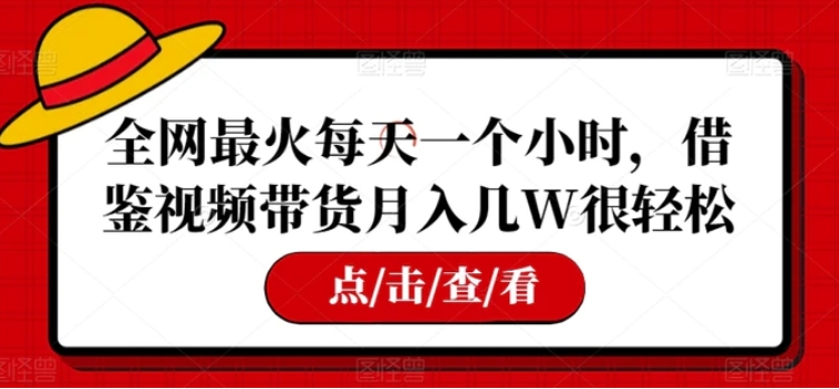 全网最火每天一个小时，借鉴视频带货月入几W很轻松【揭秘】-巨丰资源网