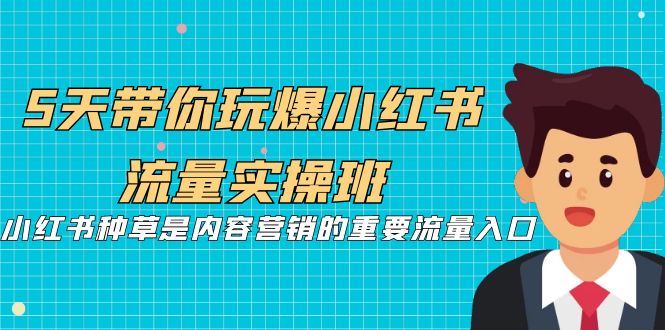 5天带你玩爆小红书流量实操班，小红书种草是内容营销的重要流量入口-巨丰资源网