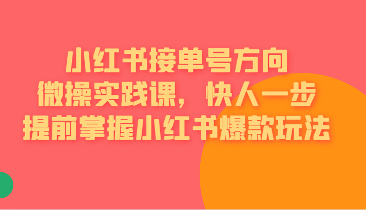 小红书接单号方向微操实践课，快人一步提前掌握小红书爆款玩法-巨丰资源网