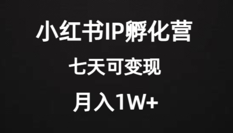 价值2000+的小红书IP孵化营项目，超级大蓝海，七天即可开始变现，稳定月入1W+-巨丰资源网