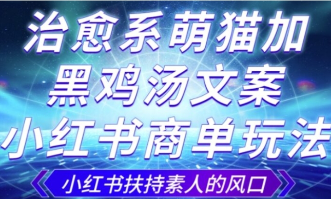 治愈系萌猫加+黑鸡汤文案，小红书商单玩法，3~10天涨到1000粉，一单200左右-巨丰资源网