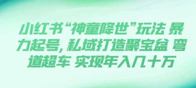 小红书“神童降世”玩法 暴力起号,私域打造聚宝盆 弯道超车 实现年入几十万-巨丰资源网