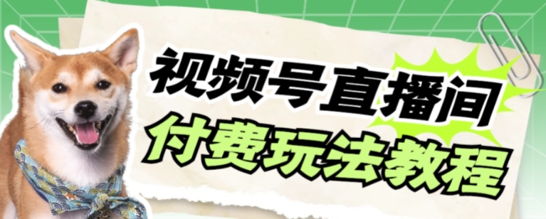 视频号美女付费无人直播，轻松日入500+【详细玩法教程】-巨丰资源网