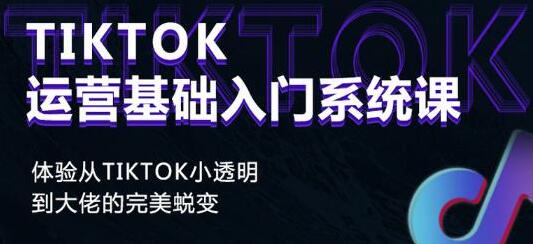 《Tiktok运营基础入门系统课》从tiktok小白到大佬的完美蜕变-巨丰资源网