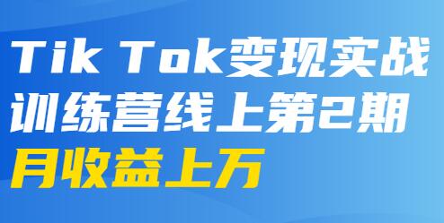 龟课-TikTok变现实战训练营 第2-4期 月收益上万不成问题-巨丰资源网