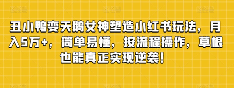 丑小鸭变天鹅女神塑造小红书玩法，月入5万+，简单易懂，按流程操作，草根也能真正实现逆袭！-巨丰资源网