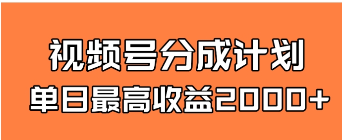 全新蓝海 视频号掘金计划 日入2000+-巨丰资源网